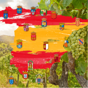 スペインワインのすべてが分かる　スペインワイン発見！